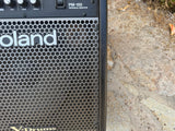 Roland PM-100 V-Drum Speaker System Amp1