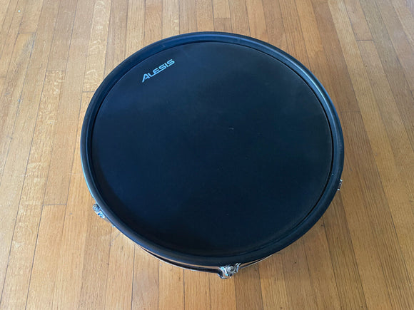 Alesis Strike Pro 14