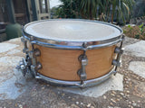 Premier 2096-MM Signia Marquis 14x5.5" 8-Lug Maple Snare Drum