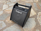 Roland PM-100 V-Drum Speaker System Amp1