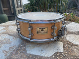 Premier 2096-MM Signia Marquis 14x5.5" 8-Lug Maple Snare Drum