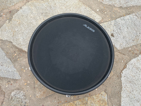 Alesis Strike Pro 14