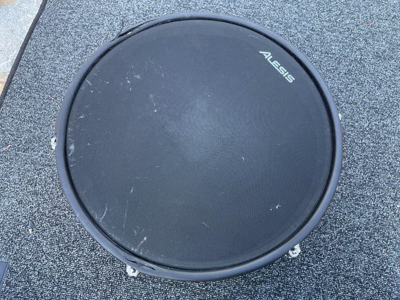 Alesis Strike Pro 14