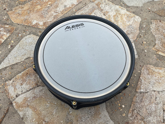 Alesis Strike Pro 14