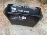 Roland PM-100 V-Drum Speaker System Amp2