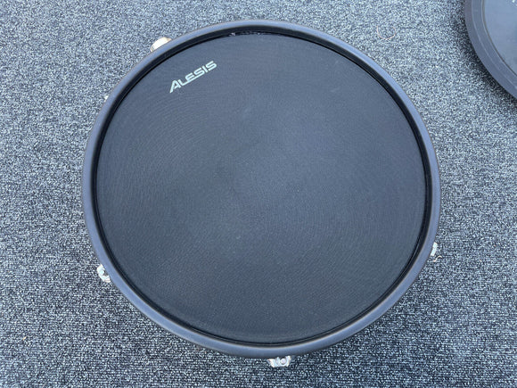 Alesis Strike Pro 14