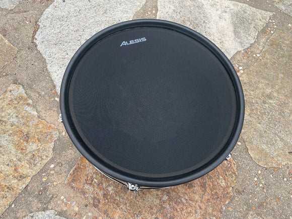 Alesis Strike Pro 14