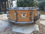 Premier 2096-MM Signia Marquis 14x5.5" 8-Lug Maple Snare Drum
