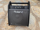 Roland PM-100 V-Drum Speaker System Amp0
