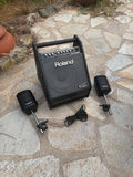 Roland PM-30 V-Drum Speaker System /Speaker Amp Amplifier Monitor1