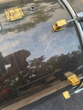 Yamaha Maple Custom 22x16 Bass Drum - Black Maple2