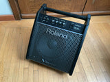 Roland PM-100 V-Drum Speaker System