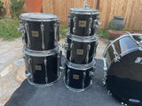 Tama Artstar Cordia Black 6pc Drum Set kit 10,12,13,14,16,24 Birch + Cordia!!