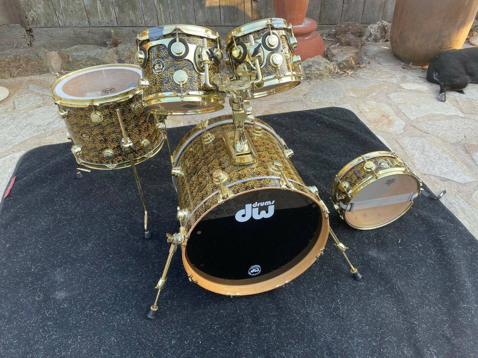 DW Collectors 5pc Bop Leopard Drum Set kit 18