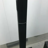 Bose L1 Model 1 Single System used with 1 Bass Module