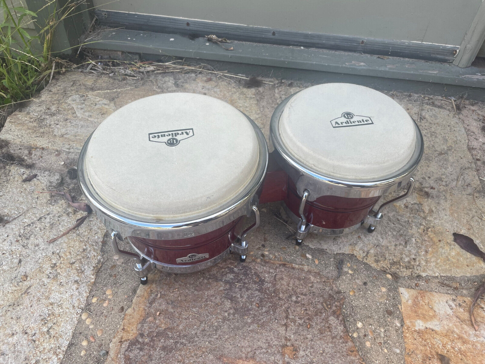 Latin Percussion Ardiente Bongos with natural heads – Blakes Drum Shop
