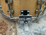 Premier 2096-MM Signia Marquis 14x5.5" 8-Lug Maple Snare Drum
