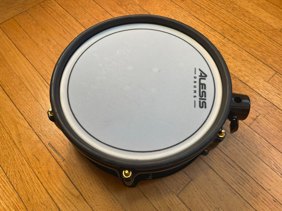 Alesis Strike Pro 10