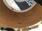 DW COLLECTORS 22 x 20 DEEP BASS DRUM IN Broken Glass!!! Gold badge