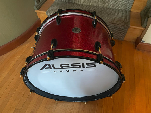 Alesis Strike Pro 12