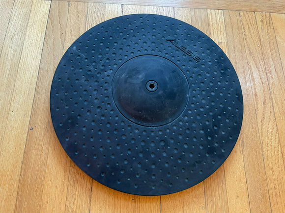 Alesis Strike Pro 14