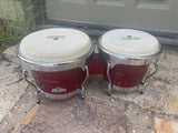 Latin Percussion Ardiente Bongos with natural heads