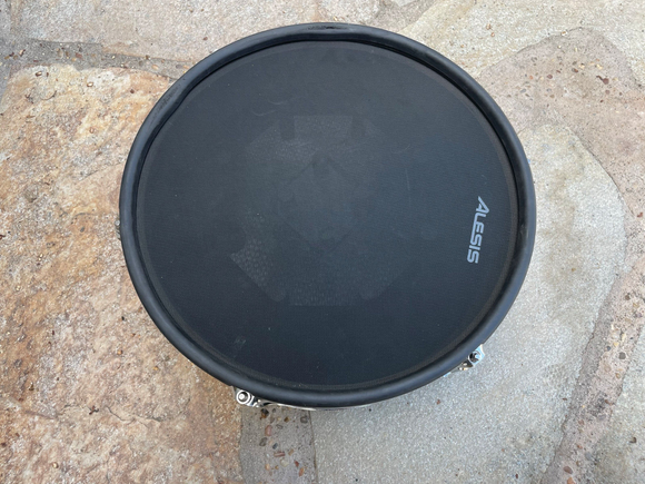 Alesis Strike Pro 14