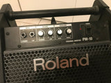Roland PM-10 V-Drum Speaker System /Speaker Amp Amplifier Monitor JAPANESE MODEL